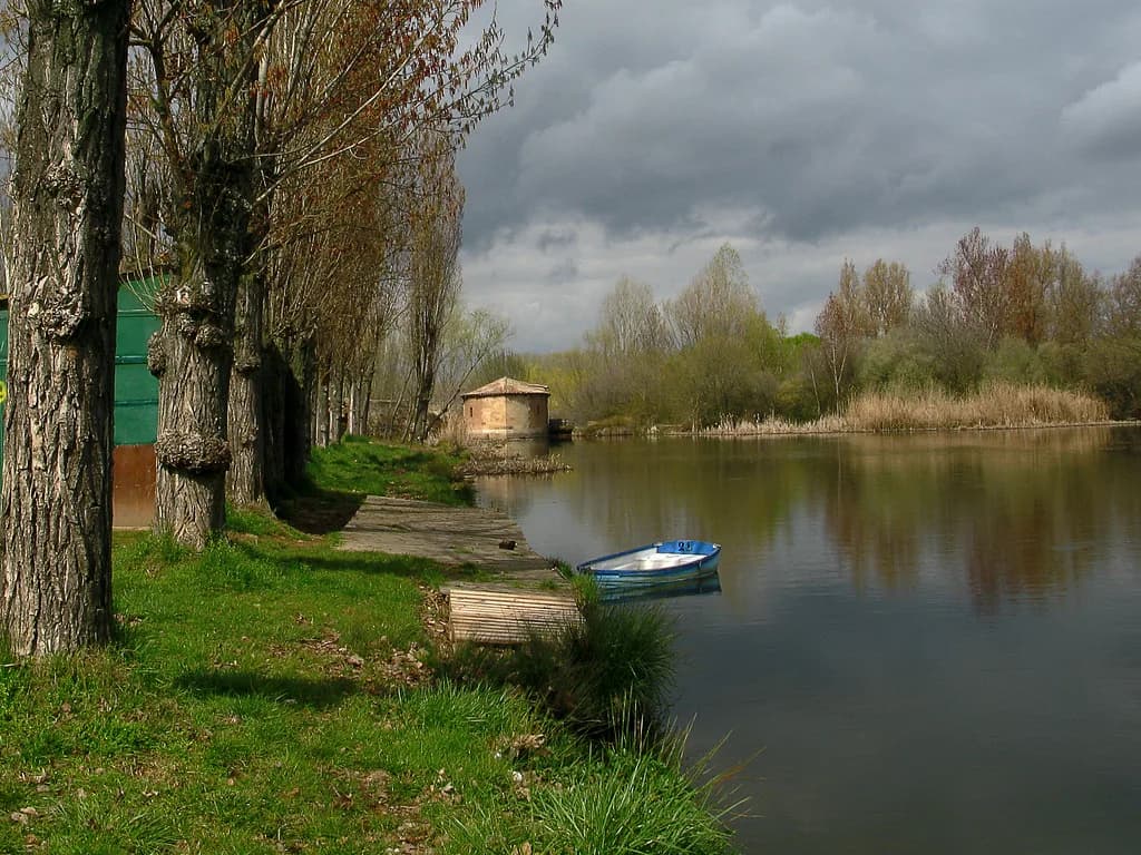Río Tormes (Santa Teresa trout beats — Salamanca) — Aceña del Arrabal