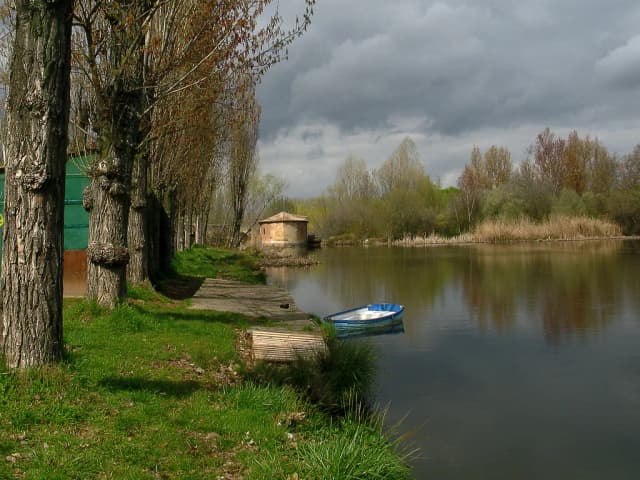 Río Tormes (Santa Teresa trout beats — Salamanca) — Aceña del Arrabal