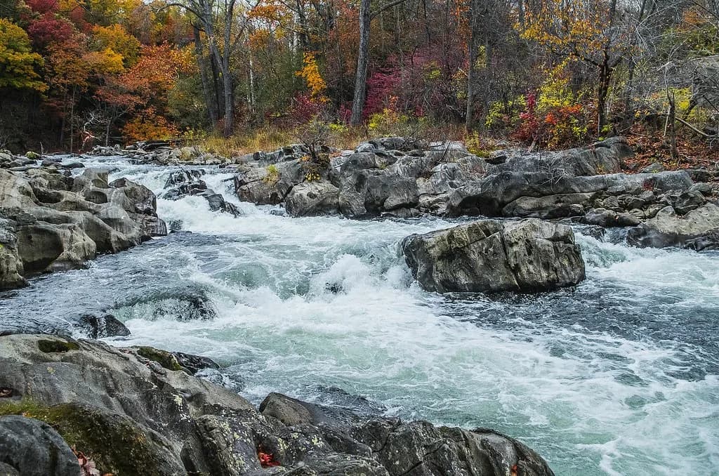 Rushing whitewater rapids over boulders on the Housatonic River, framed by autumn foliage near Bull's Bridge, Connecticut.