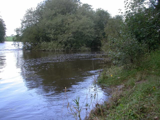 Confluence of the River Annan and the Water of Milk in autumn, the broad meeting of both rivers with Annandale beyond.
