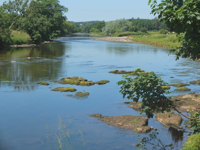 The River Annan running past the confluence of the Mein Water, mature trees lining the bank near Hoddom.