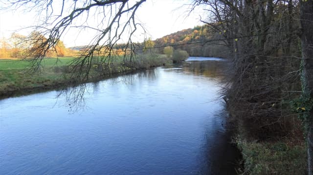 View upstream along the River Annan from Hoddom Bridge, the broad tree-lined river channel in Dumfriesshire.