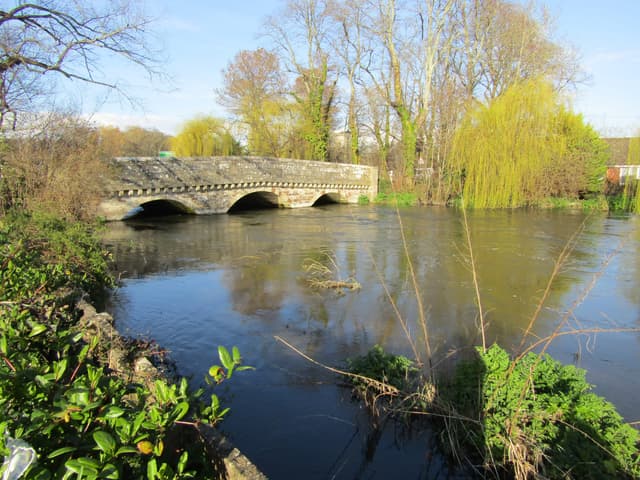 The River Avon at Ringwood, the watercourse running through the lower town reach.