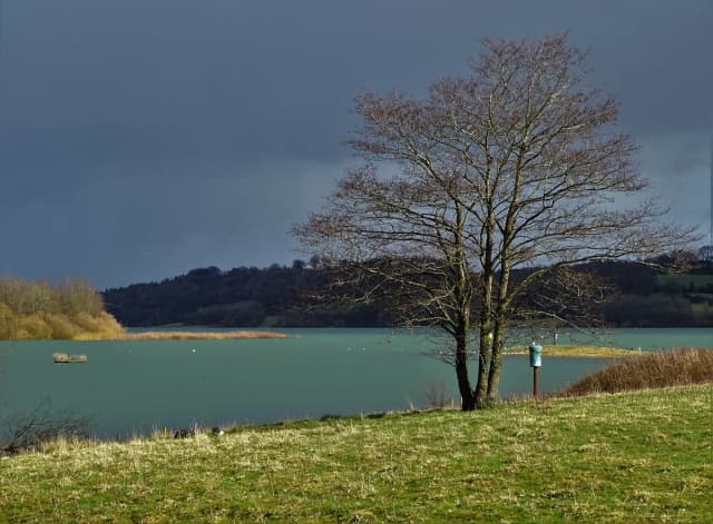 Photo of Carsington Water