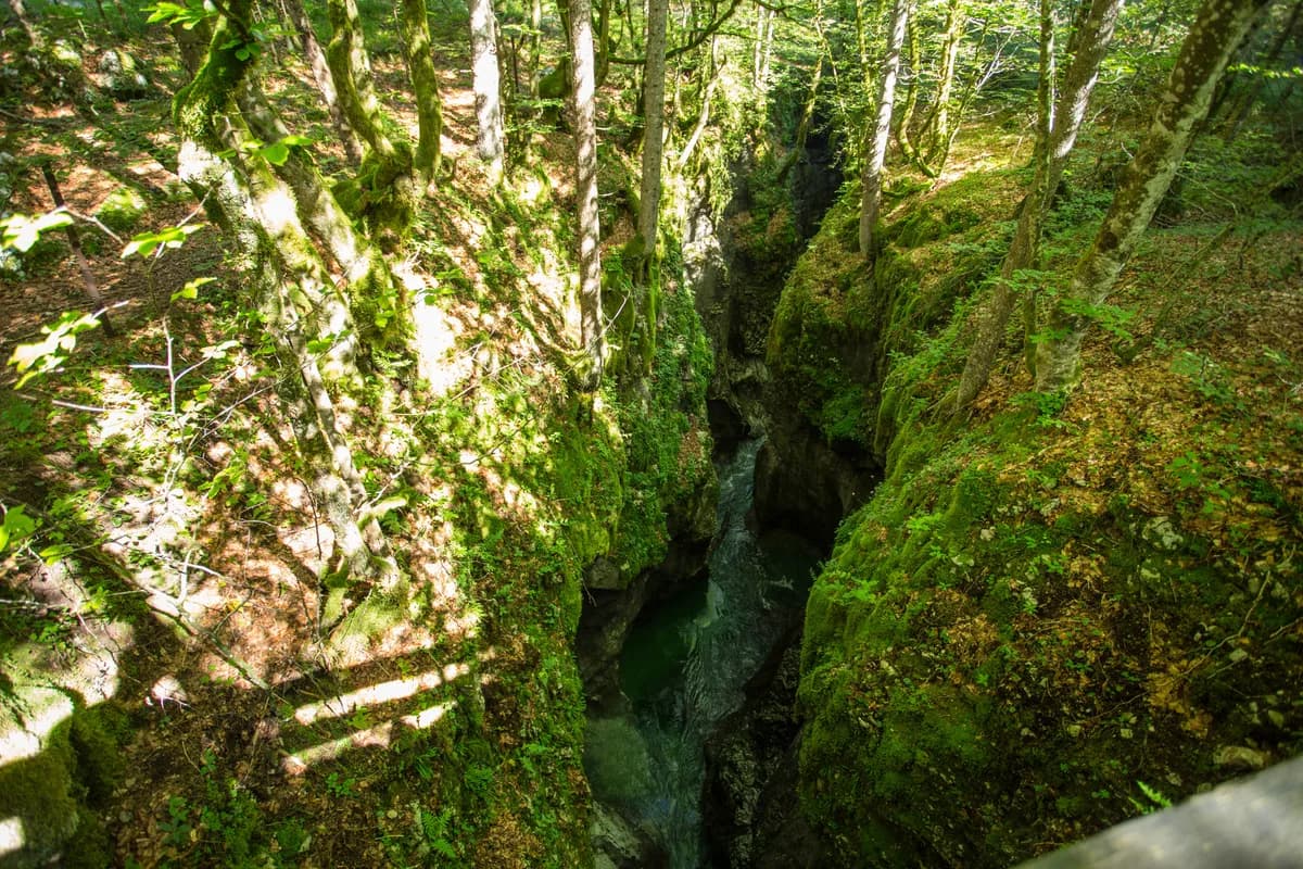 Mostnica — Mostnica Gorge