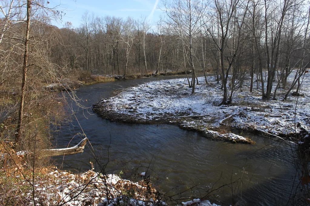 A snowy winter bend of Conneaut Creek lined with bare trees, typical of the Lake Erie steelhead run season.