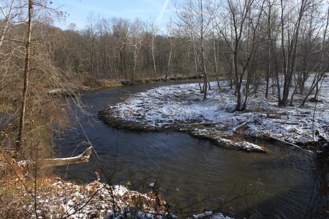 A snowy winter bend of Conneaut Creek lined with bare trees, typical of the Lake Erie steelhead run season.