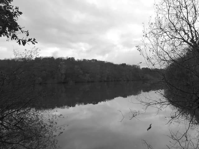 Wide, still view of the western arm of Powdermill Reservoir bordered by woodland