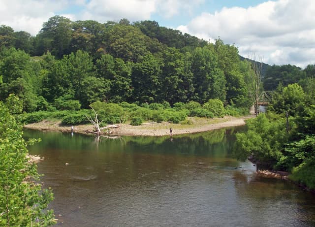 Willowemoc Creek — Junction Pool from NY 17