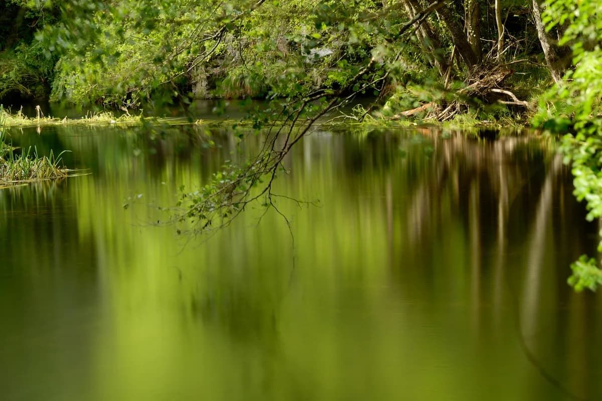 Río Porcía — Río Porcía