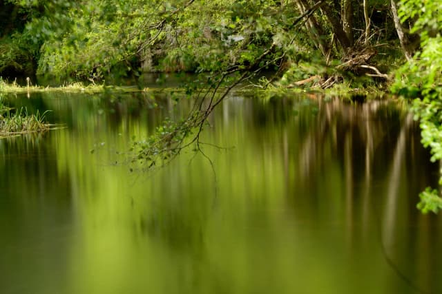 Río Porcía — Río Porcía