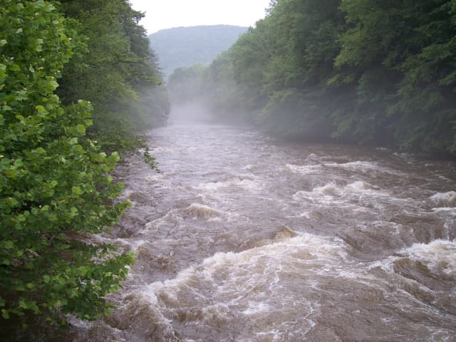 Wide view of the Cranberry River flowing through a forested valley in West Virginia's Monongahela National Forest
