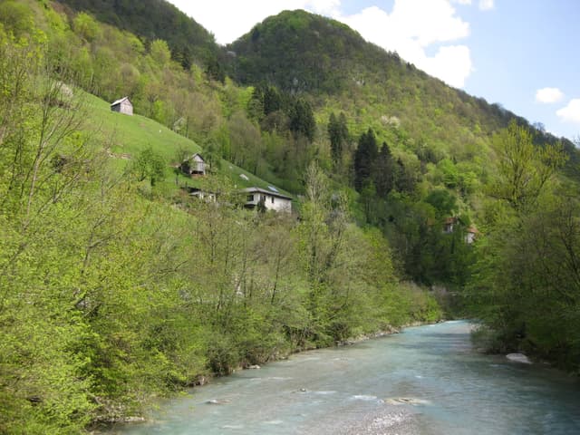 Turquoise-green Bača river flowing through a steep forested valley in spring.