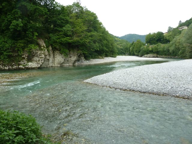A wide turquoise river with a sweeping white gravel bar, flanked by limestone bluffs and dense forest.