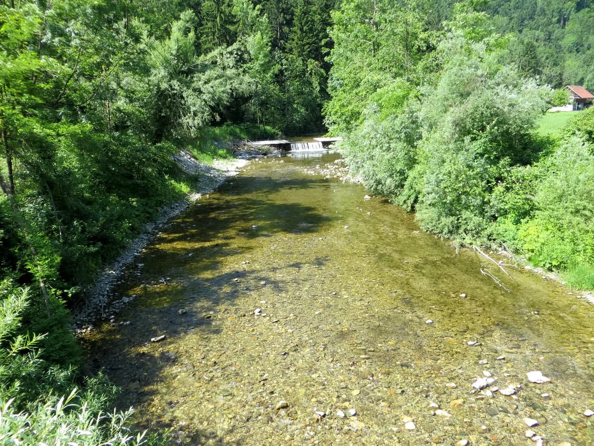 Dreta — Bočna, Slovenia - Dreta River
