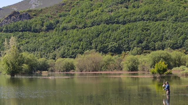 Sight-fishing for carp