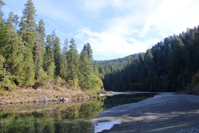 A clear river bend lined with tall redwood trees and a gravel bar, in Jedediah Smith Redwoods State Park, California.