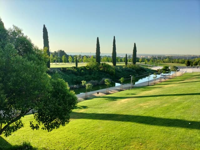 The lake and canal system of Parque Juan Carlos I park in Madrid, lined with cypress trees and green lawns