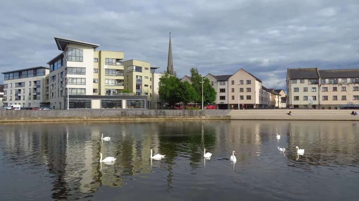 The River Barrow flowing through Carlow town, with swans on the water and St Mary's Church spire visible above the quayside buildings