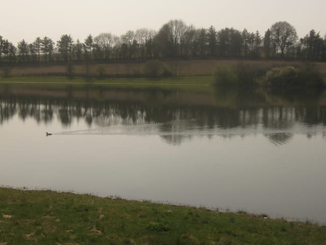 A broad south-westward view across the open water of Bewl Water with wooded shoreline in the distance.