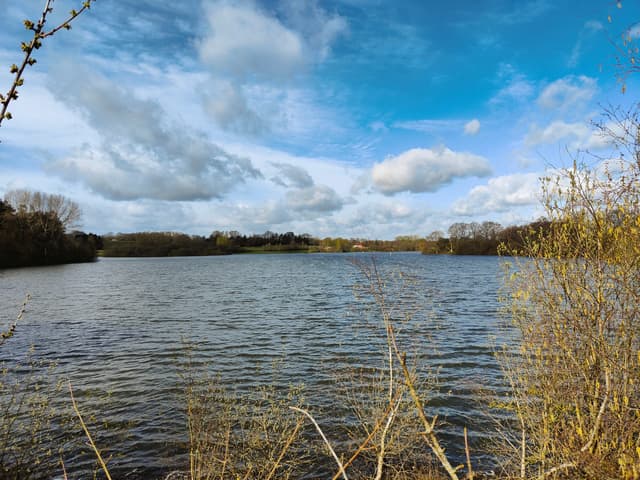 Bewl Water reservoir from a westward viewpoint showing the open water surface and reservoir landscape.