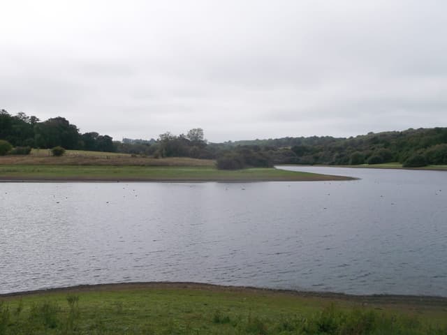 A westward view of Bewl Water reservoir showing the open body of water flanked by wooded shoreline.