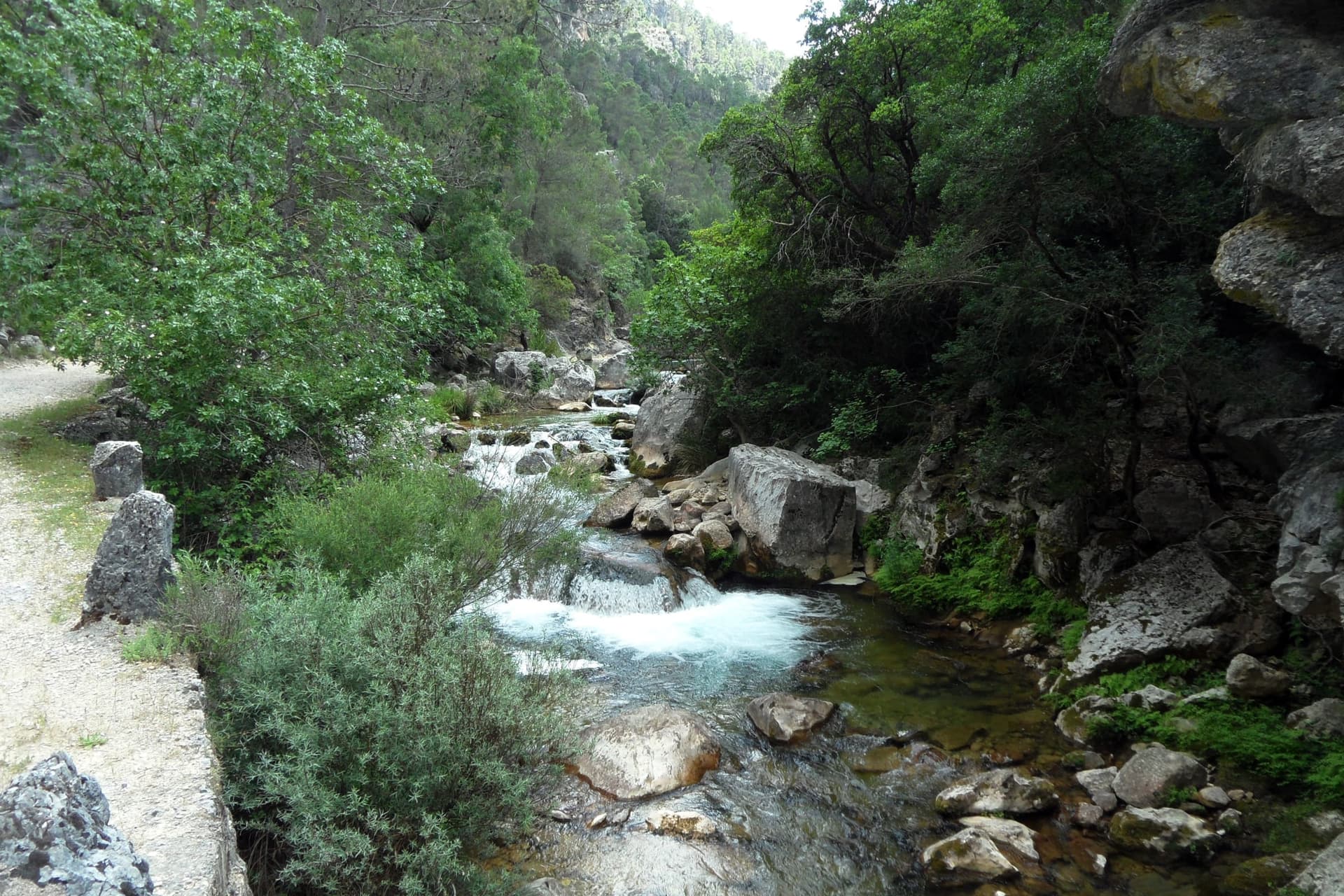 The Río Borosa flowing upstream below the Cerrada de Elías narrows, Sierra de Cazorla.
