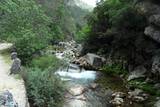 The Río Borosa flowing upstream below the Cerrada de Elías narrows, Sierra de Cazorla.