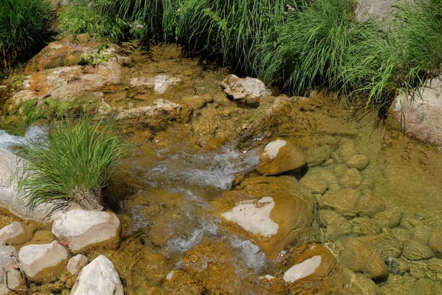 The Río Borosa in the Sierras de Cazorla, Segura y Las Villas natural park, Andalucía.