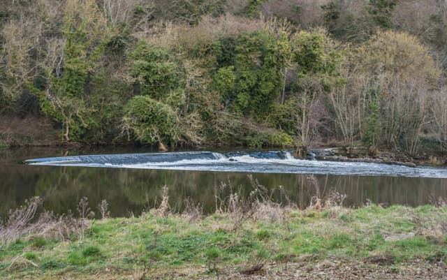 The River Boyne flowing through open countryside near Navan, County Meath.