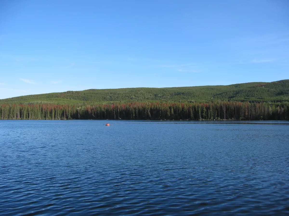 Lac le Jeune — Lake View, Lac Le Jeune, Canada