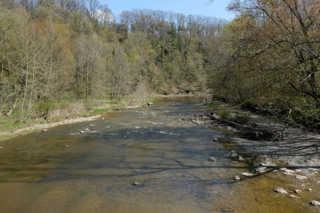 A wide shallow river flows over a gravel bed through a wooded valley in Ashtabula County, Ohio, with a person and dog fishing along the far bank.