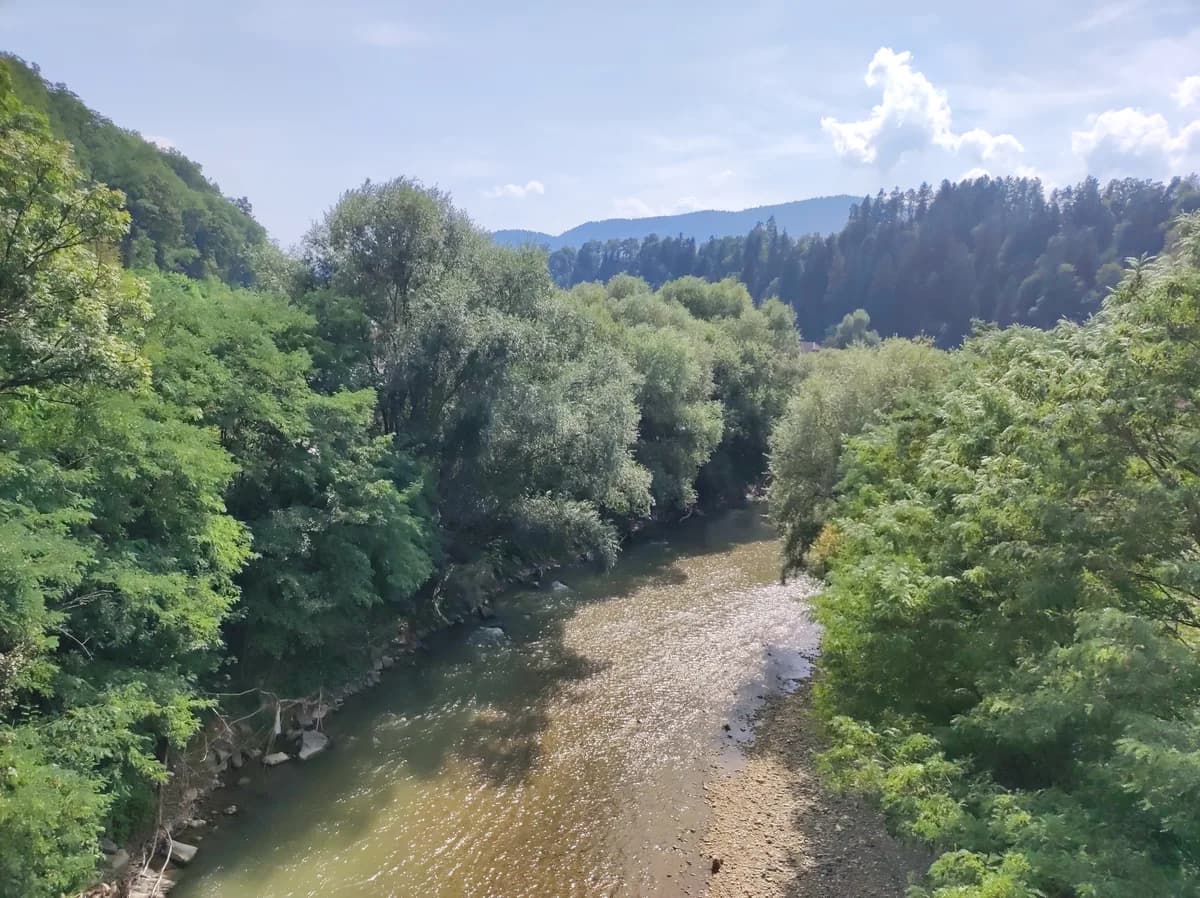Meža — Dravograd, view of Meža from the former railway bridge