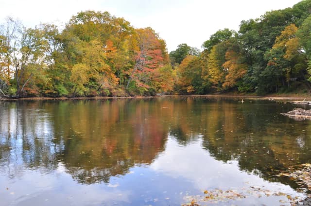 Still water on the Farmington River mirroring autumn foliage along wooded banks, Connecticut.