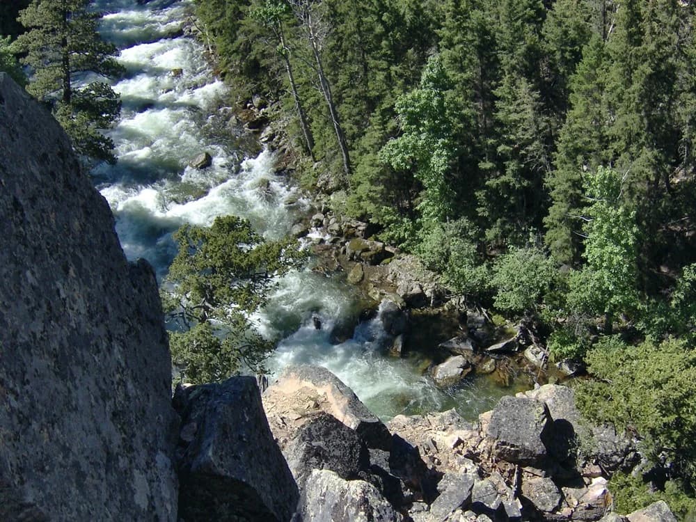Fast whitewater cascading through a boulder-strewn canyon on the upper Boulder River in Sweet Grass County, Montana, flanked by conifer forest