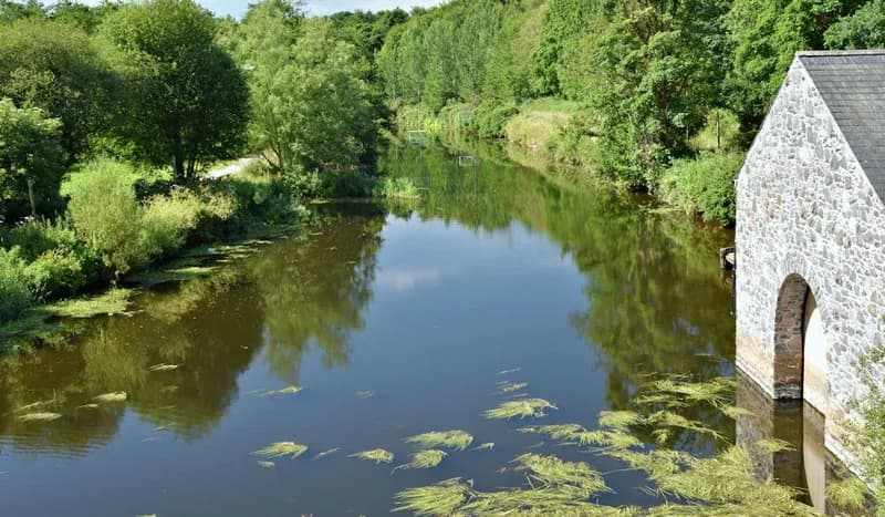 The River Lagan flowing past Shaw's Bridge on the edge of Belfast, Northern Ireland.