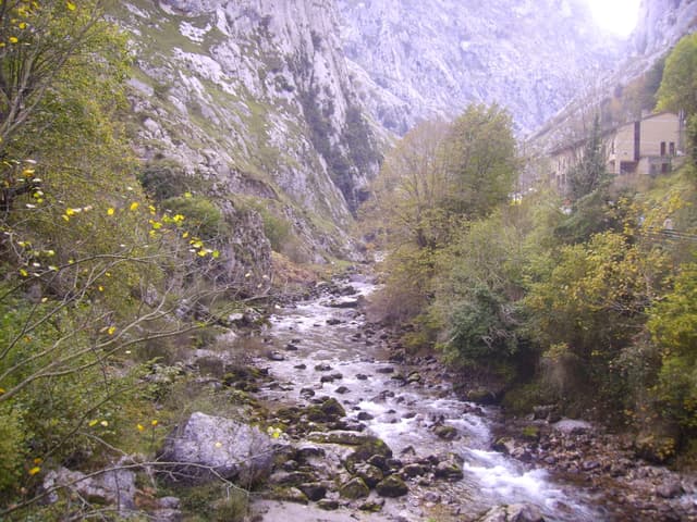 The Río Cares rushing over mossy boulders through autumnal woodland at the mouth of the gorge.