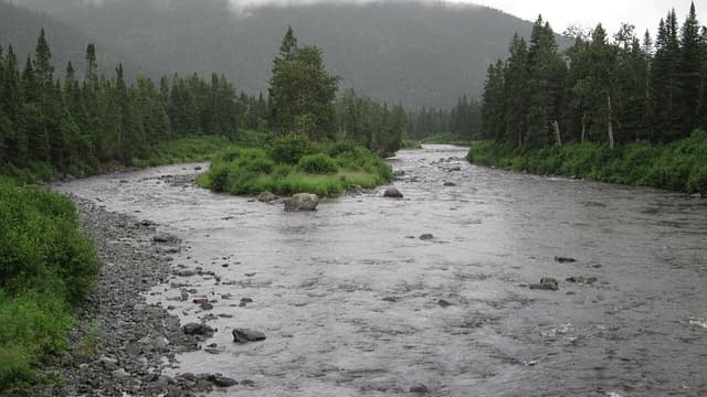 Rivière Cascapédia suite à la confluence du ruisseau aux Saumons