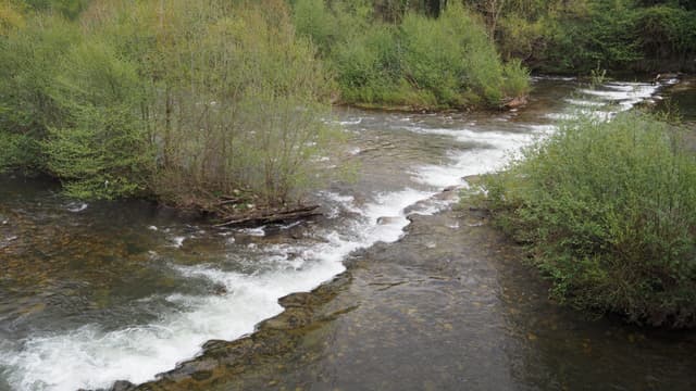 Rio Caudal, wide and fairly shallow with trout and lots of Spanish chub