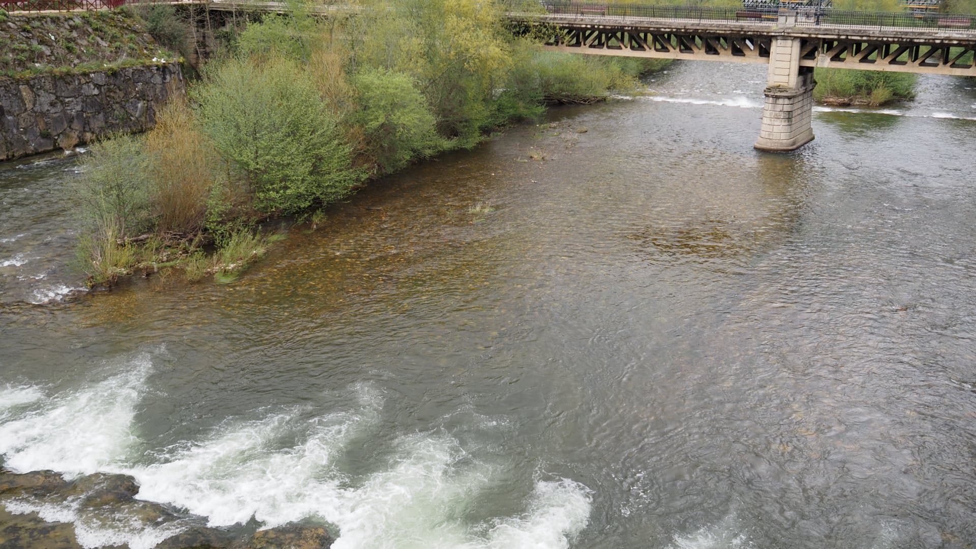 Río Caudal fishing venue photo