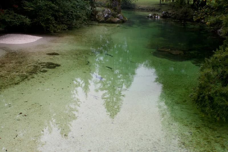 Savica — River Savica reflections