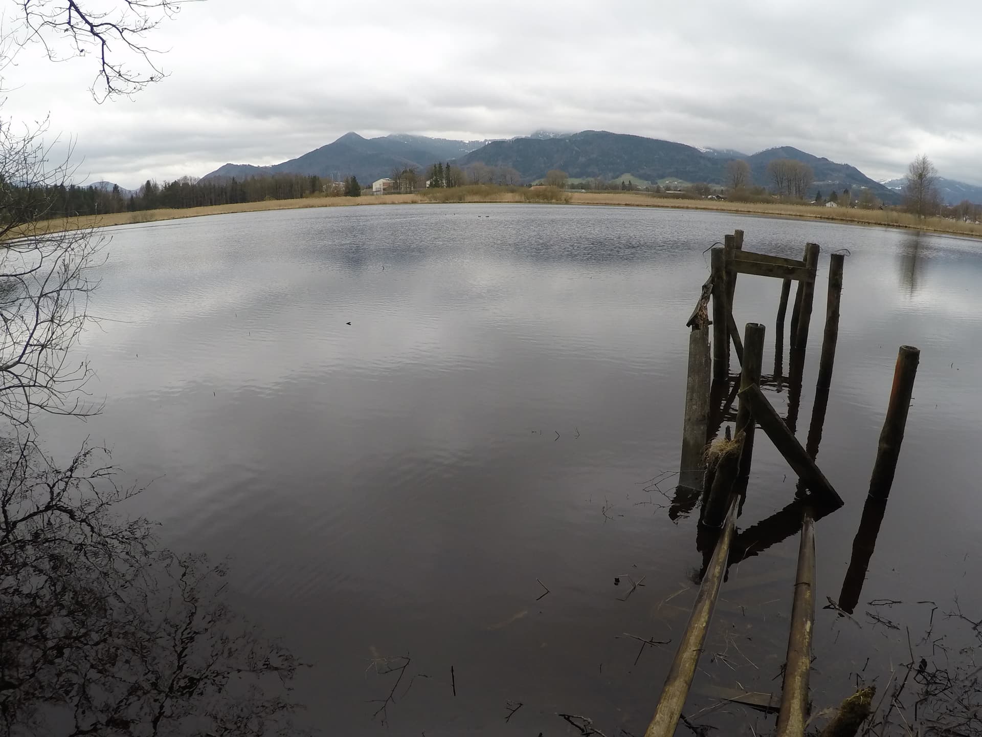 Förchensee