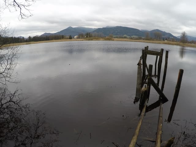 Förchensee