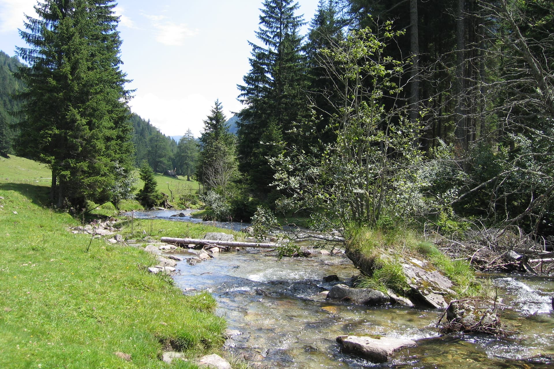 200507 Inneres Poellatal 04