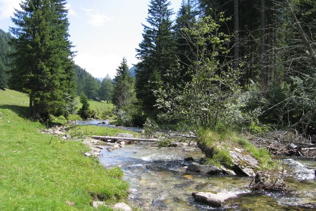 200507 Inneres Poellatal 04