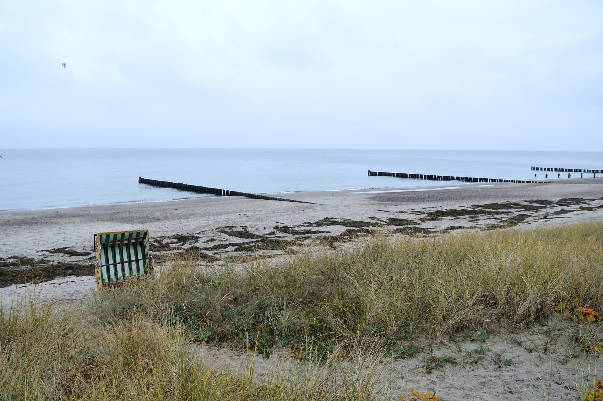 Landschaftsschutzgebiet Kühlung - Strand von Heiligendamm - Holzbuhnen