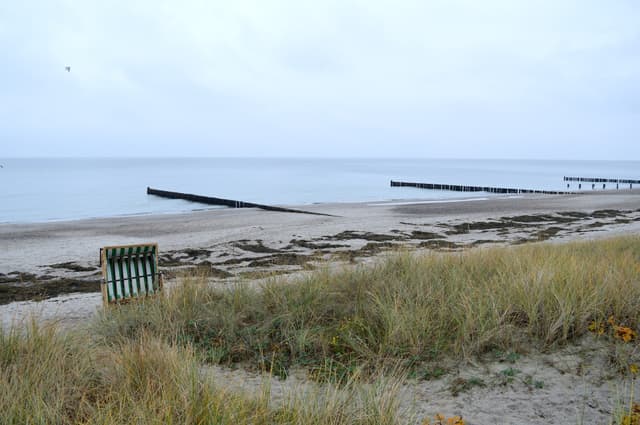 Landschaftsschutzgebiet Kühlung - Strand von Heiligendamm - Holzbuhnen