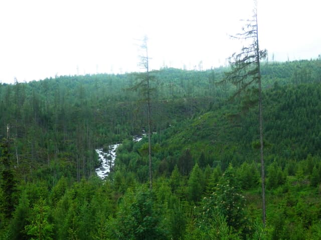 Rieka Poprad, Vysoké Tatry 20 Slovakia