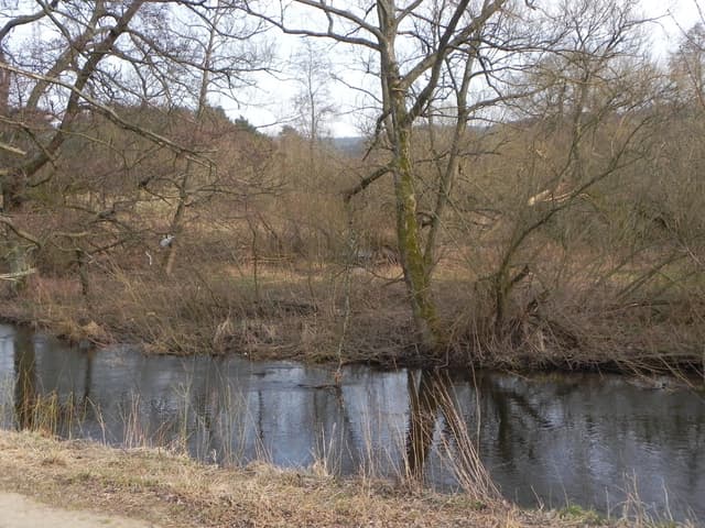 Wejherowo Osiedle Fenikowskiego - rzeka Reda