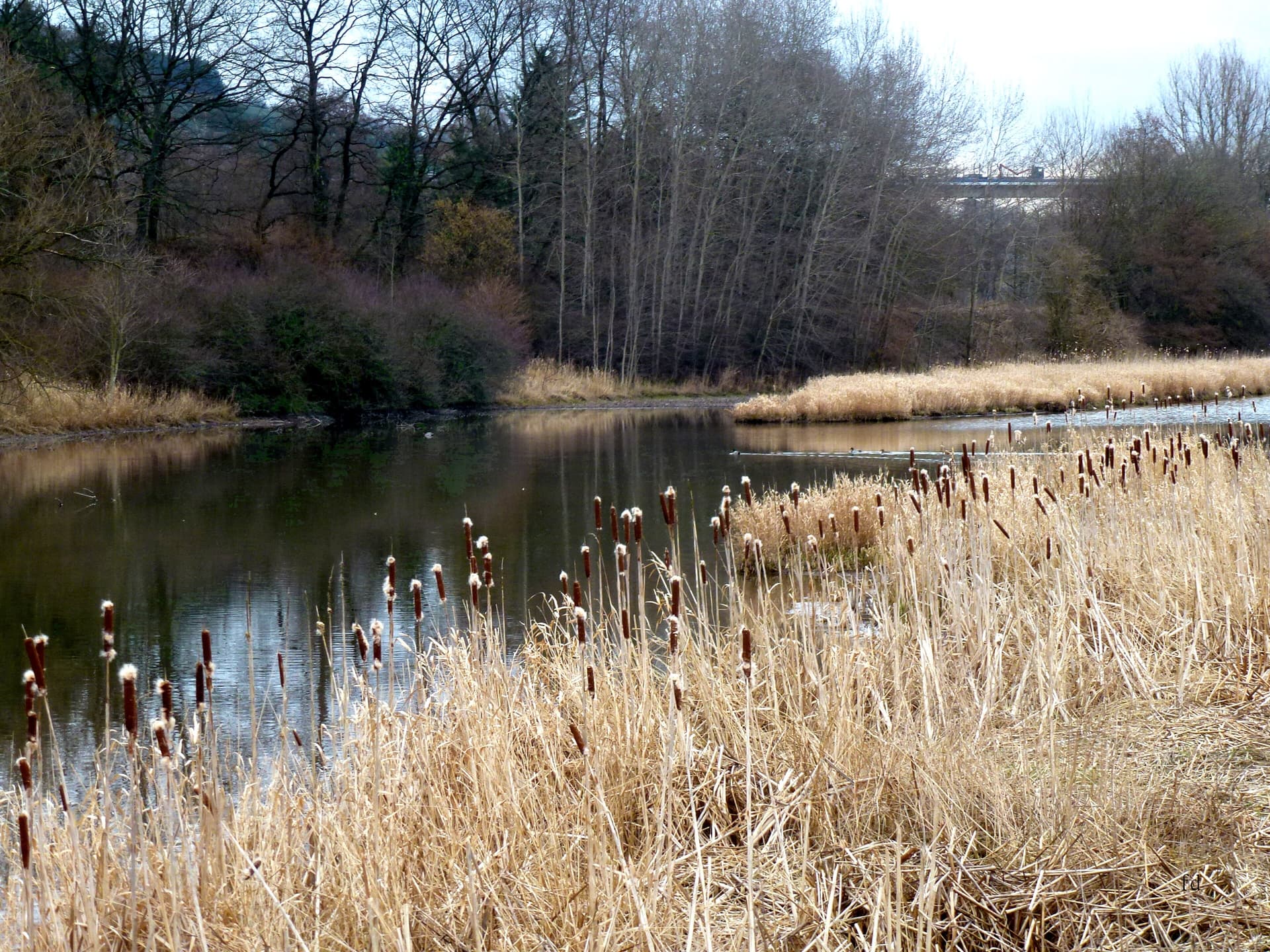 Ruhrtal bei Bestwig